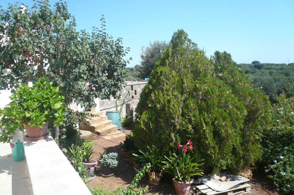 Villa Mediterranea Tra Gli Ulivi Ostuni Room photo